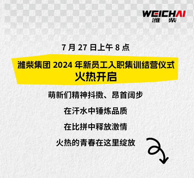 w66(中国)最老牌官方网站